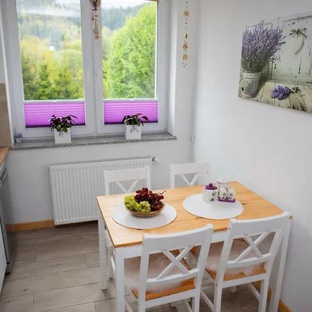 Mieszkanie Apartment Wegierska Gorka